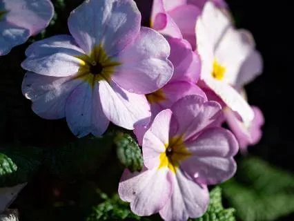 When Everything Feels Too Much | Overwhelm & Grief