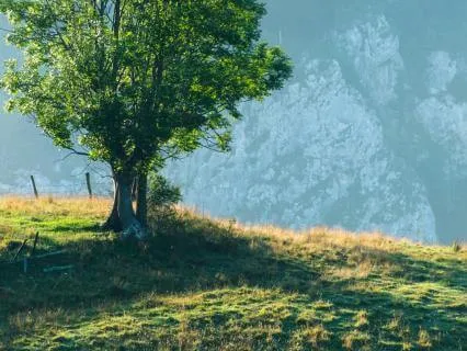 When Everything Feels Too Much