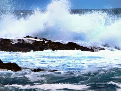 When Everything Feels Urgent - Shaltazar Pause Transmissions