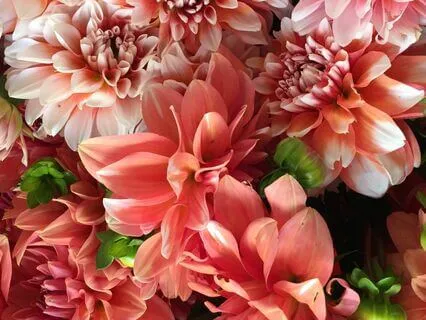 When False Is Recognized As Real, Suffering Begins