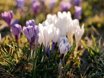 When Frustration Invites Us To Slow Down - Feb 05