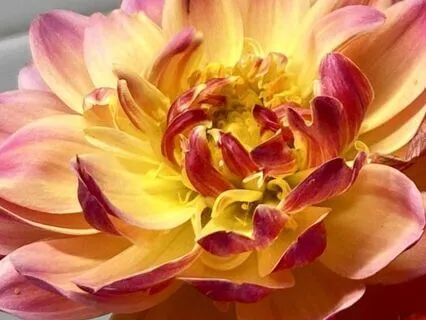 When Great Is Better Than Perfect