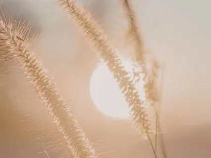 When Grief Feels Too Much | 5-Minute Grounding