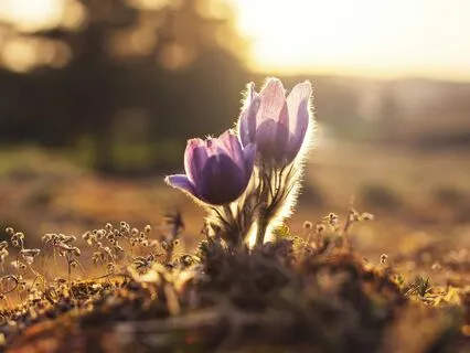 When Growth Demands Goodbye - A Daily Meditation