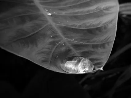 When Happiness Evades Us