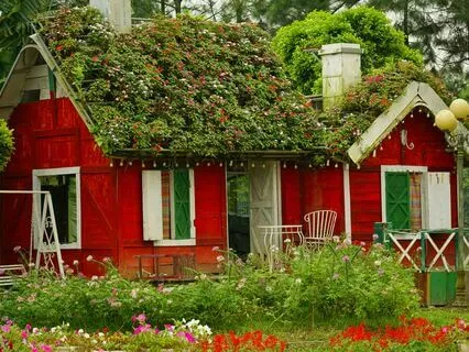 When Home Feels Heavy: EFT For Emotional Relief