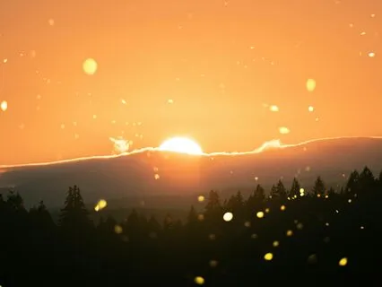 When Humans Are Both Very Fallible And Divine...