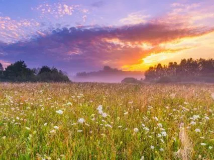 When I Open My Eyes | Start Your Day Anchored In God's Peace