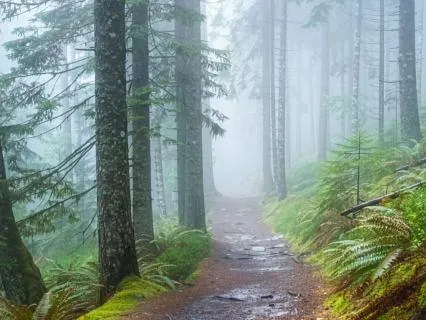 When I Turned Toward | A Poem On Dveṣa