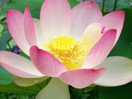 When In Doubt Breathe Out