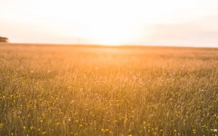 When In Need Of Rest: A Meditation