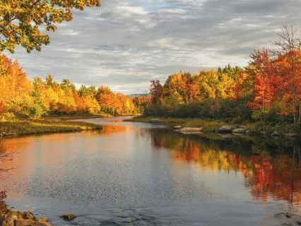 When Intrusive Thoughts Arise | Ease Anxiety & Overthinking