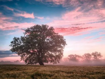 When It Feels Like A Sh*tshow