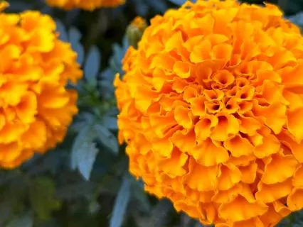 When It Feels Like Life Is Piling On