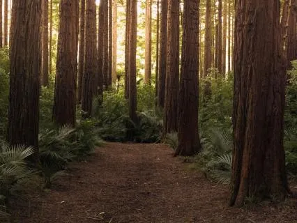 When It Feels Like You Are Not Enough