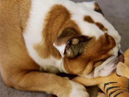 When Life Feels Heavy: A Self-Compassion Practice