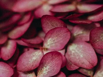 When Life Gets Lifey