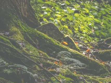 When Life Is A Whirlwind: Affirmations To Stay Grounded