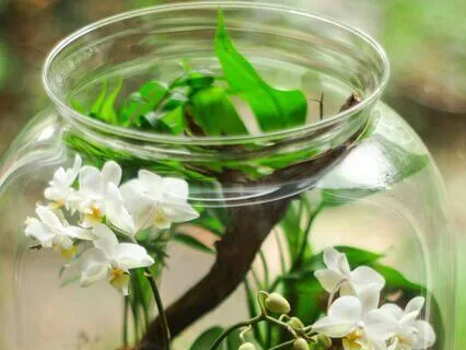 When Life Knocks You Out Of Your Comfort Zone