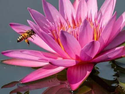 When Logic Fails, Leadership Begins