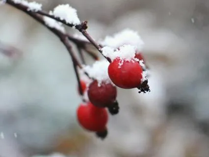 When Loud Thoughts Aren't True - Jan 21