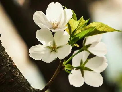 When Loved Ones Are Critical