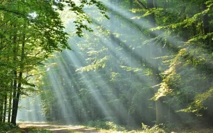 When Me Is Controlling, Intelligence Cannot Function