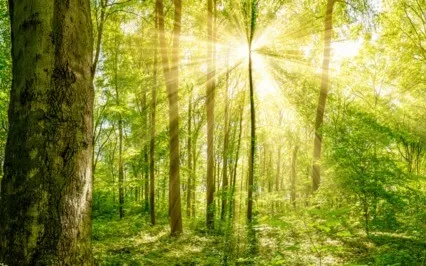 When Me Is Totally Absent, All Issues Are No Longer Relevant