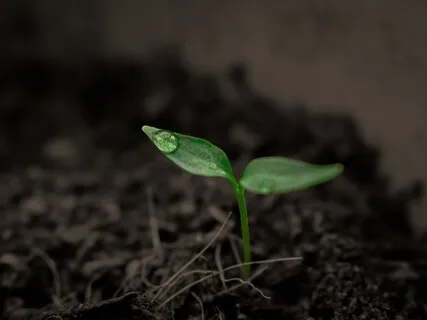 When My Story Ends With Ruth Ungar Of The Mammals