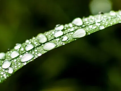 When Negative About Life