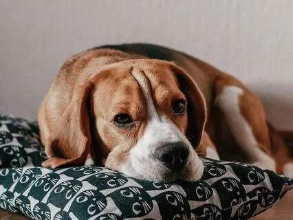 “When Nothing Happens” - Exploring Boredom