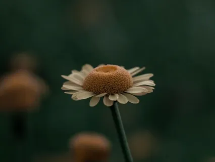 When Nothing Is Good And Everything Sucks