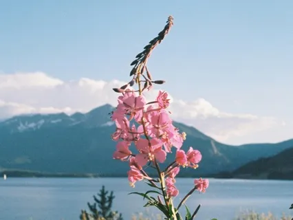 When Obstacles Limit Freedom | Breathe | Memoir | Healing