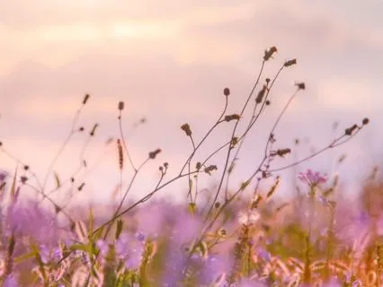 When OCD Says “This Isn’t OCD”