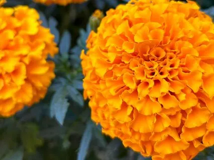 When Overthinking Feels Safer Than Moving Forward