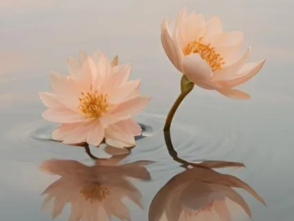 When Overwhelm Hits: A Practice To Regain Calm And Clarity