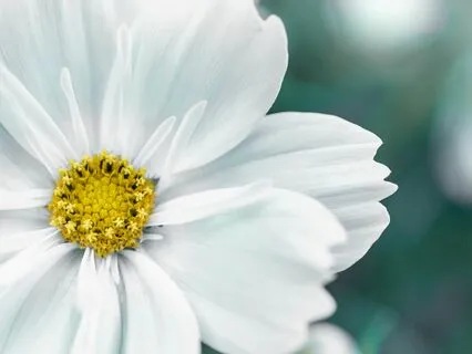 When Parenting Is Hard And You Wish It Was Different