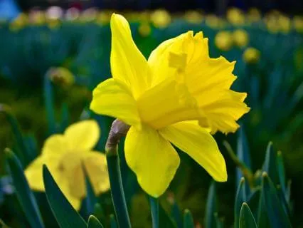 When Plans Change: Discovering The Hidden Gift - March 18