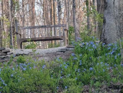 When Prayer Goes Quiet: A Silence Softening Daily Practice