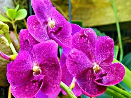 When Relationships Hurt - Shaltazar Pause Transmissions