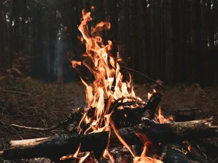 When Shame Feels Like You