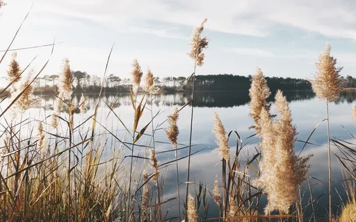 When She Hides Her Power