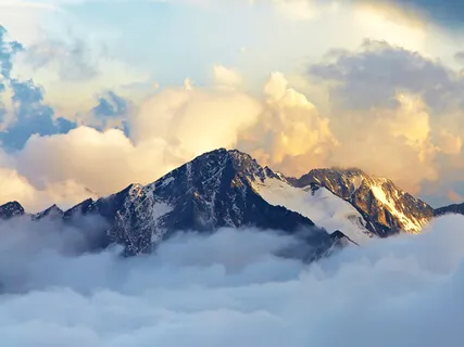 When Should You Tell The Truth? 