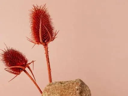 When Someone Keeps Almost Choosing You