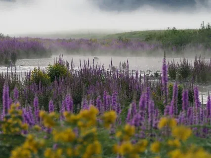 When Something Hard Has Gone On Too Long & You're Depleted