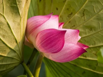 When Something Is Taking Far Too Long