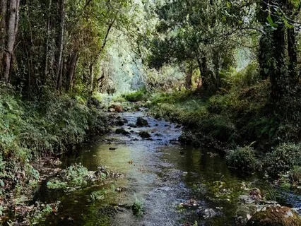 When Success Feels Empty - Leader Burnout Recovery