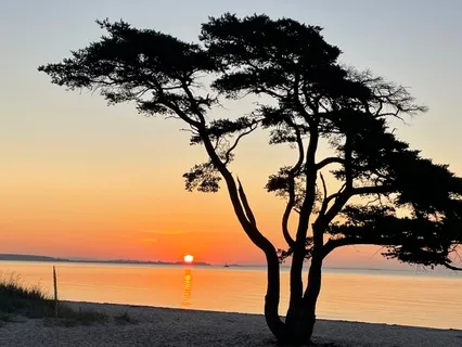 When The Day Softens - An Evening Practice For Leaders