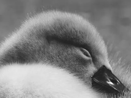 When The Day Turns Into Light - Good Night Meditation