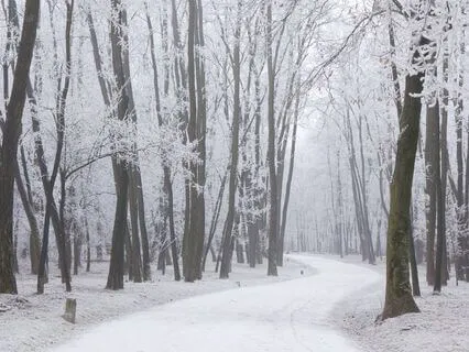 When The Empath Meets The Narcissist